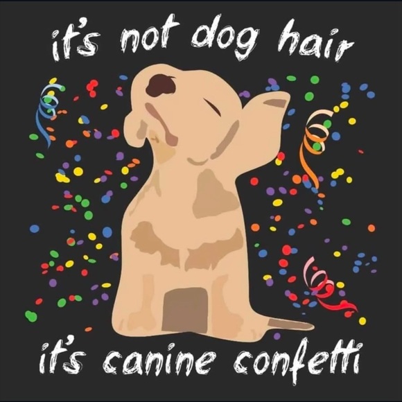 Meet your Posher, Maria - Picture 2 of 2